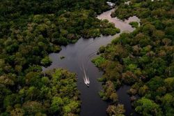 Brazil công nhận 6 khu vực người bản địa