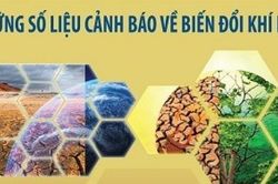 Những số liệu cảnh báo về biến đổi khí hậu