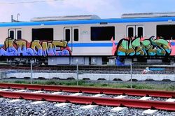 Đoàn tàu metro số 1 đặt trong Depot Long Bình lại bị vẽ bậy