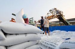Giá gạo xuất khẩu Việt Nam vượt Thái Lan, lên mức cao nhất khu vực châu Á