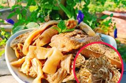 Thả một nắm quả này vào nồi, thịt vịt hết sạch mùi hôi, không còn mỡ béo, nước ngọt thịt mềm ngon