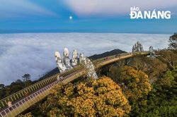 Để Đà Nẵng là nơi đáng đến
