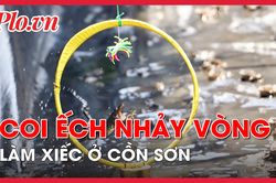 Coi ếch nhảy vòng làm xiếc ở Cần Thơ