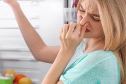 Cách để tủ lạnh không bị hôi một cách an toàn, hiệu quả