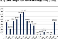 Không có doanh nghiệp nào phát hành trái phiếu riêng lẻ trong tháng 4/2023