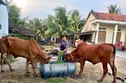 Hội Liên hiệp Phụ nữ thị xã Ninh Hòa: Hỗ trợ hội viên phát triển kinh tế