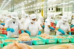 Cơ hội kinh doanh dần trở lại