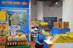 Quảng Ninh: Hội chợ OCOP doanh thu đạt 17,4 tỷ đồng