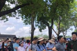 Huế lên tiếng xin lỗi vì để du khách 'mỏi cổ' chờ mua vé tham quan