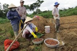 Phú Yên: Gần 1.000 hộ nghèo thiếu đất ở và đất sản xuất