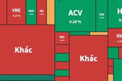 Cổ phiếu lớn phân hóa mạnh khiến VN-Index lình xình trong biên độ hẹp