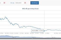 Giá hồi phục tới 87%, em dâu Chủ tịch DIG chỉ bán được 67.638 cổ phiếu