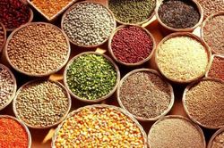 FAO: Giá lương thực thế giới lập đỉnh mới từ sau xung đột Nga - Ukaraine
