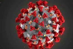 WHO tuyên bố Covid-19 không còn là tình trạng y tế khẩn cấp toàn cầu
