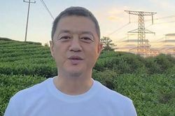 Tình cảnh của Lý Á Bằng sau khi vỡ nợ