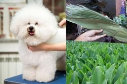 Bất ngờ những nghề 'hốt bạc' khó tin ở Hà Nội
