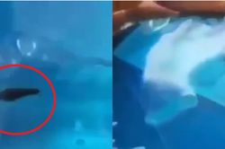 Kinh hãi đỉa ngoe nguẩy trong bình nước ở trường mầm non