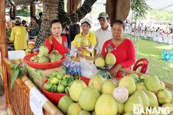 Bưởi trụ lông Đại Bình