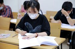 'Thước đo' nguồn nhân lực công nghệ thông tin