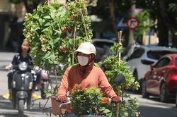 Người dân mệt mỏi vì nắng nóng