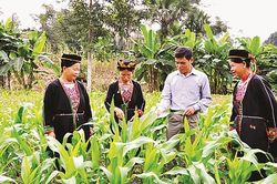 Hiệu quả từ chương trình Mục tiêu quốc gia