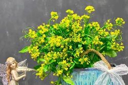 Tử vi Thứ Hai 8/5/2023 của 12 cung hoàng đạo