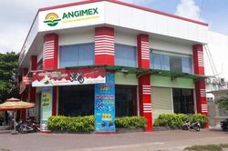 Hai cổ phiếu mã TGG và AGM của 'họ Louis' sắp bị đưa vào diện kiểm soát