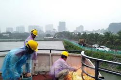 Đội mưa, cưỡng chế di dời hai du thuyền cuối cùng ra khỏi Hồ Tây