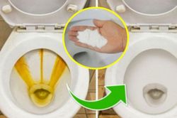 Bồn cầu, bồn rửa mặt ố vàng, cứ rắc thứ này lên rồi xả nước là sạch bong, sáng bóng như mới