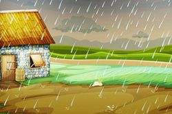 Diễn đàn văn hóa: 'Trời không mưa anh cũng lạy trời mưa'