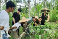 Khởi nghiệp từ lối sống thuận tự nhiên