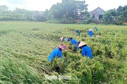 Chủ động ứng phó, giảm thiểu thiệt hại do thiên tai