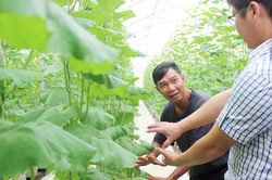 Nông dân Đồng Nai thời công nghệ cao