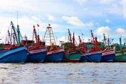 Cà Mau gửi công văn 'hỏa tốc' về phòng chống khai thác IUU