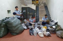 Phát hiện thêm nhiều vụ việc mua bán, vận chuyển hàng cấm, hàng lậu