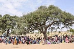 Xung đột Sudan: Mỹ cân nhắc trừng phạt thích hợp, Liên hợp quốc nhờ sự chung tay quốc tế