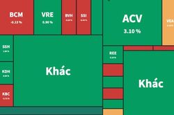 Bị nhóm vốn hóa lớn 'chặn đường', VN-Index kết phiên trong sắc đỏ