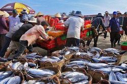 Xuất khẩu thủy sản sang Mỹ giảm sâu, đa dạng hóa thị trường là 'cứu cánh'?