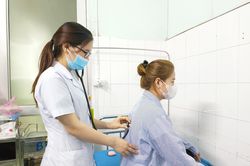 Nhập viện cấp cứu sau khi ăn ve sầu