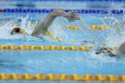 SEA Games 32: Nỗ lực bất thành của bơi lội Việt Nam