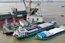 Xuất khẩu gạo sang Trung Quốc tăng vọt