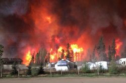 Canada: Các hãng dầu khí lớn tái khởi động khai thác dầu khí sau cháy rừng
