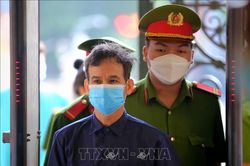 Tuyên truyền chống Nhà nước, Trần Văn Bang lĩnh 8 năm tù