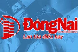 Bản tin truyền hình 'Nhịp sống 365' thứ sáu ngày 12-5-2023