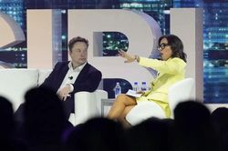 CEO Twitter mới được ông Elon Musk bổ nhiệm là ai?