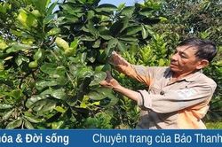 Nông dân gương mẫu, làm kinh tế giỏi
