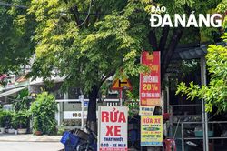 Nâng cao ý thức trong việc bảo vệ cây xanh đô thị