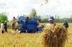 Thách thức về giảm phát thải trong sản xuất lúa