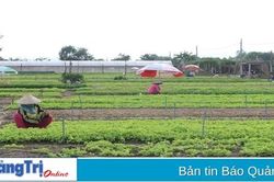 Cần thêm chính sách hỗ trợ nông dân chuyển đổi ngành nghề