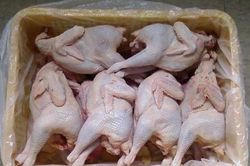 Gia cầm thải loại nhập lậu ồ ạt, Thủ tướng yêu cầu xử lý nghiêm